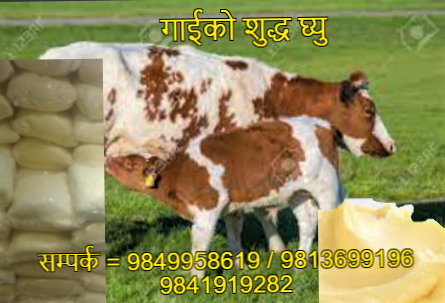 Jharana Sanchar Sidebar Advertisement